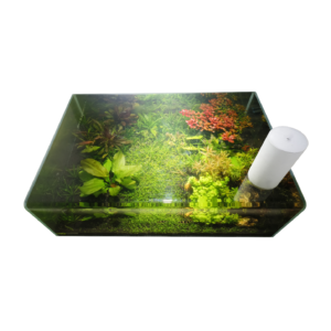 ECORIUM