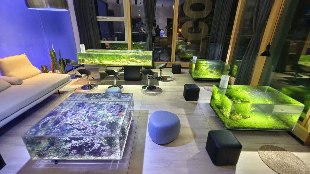 ECOF HangZhou store