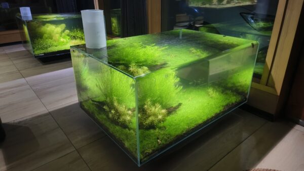 WETLAND ECORIUM